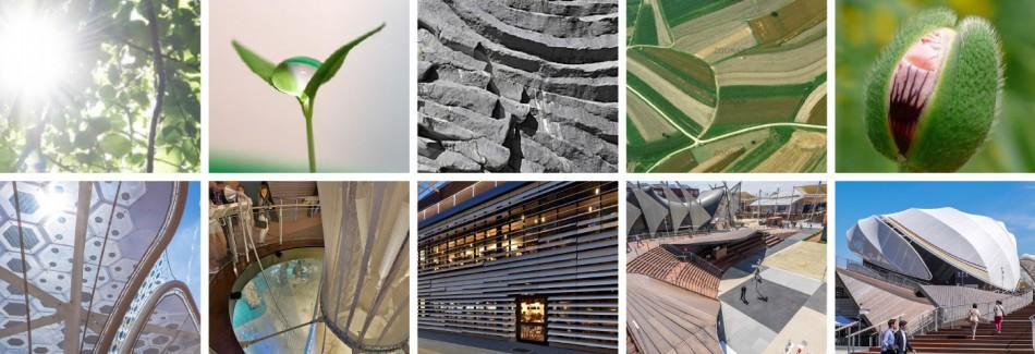 米蘭世博會(huì)德國(guó)館設(shè)計(jì)1 米蘭世博會(huì)德國(guó)館設(shè)計(jì)1